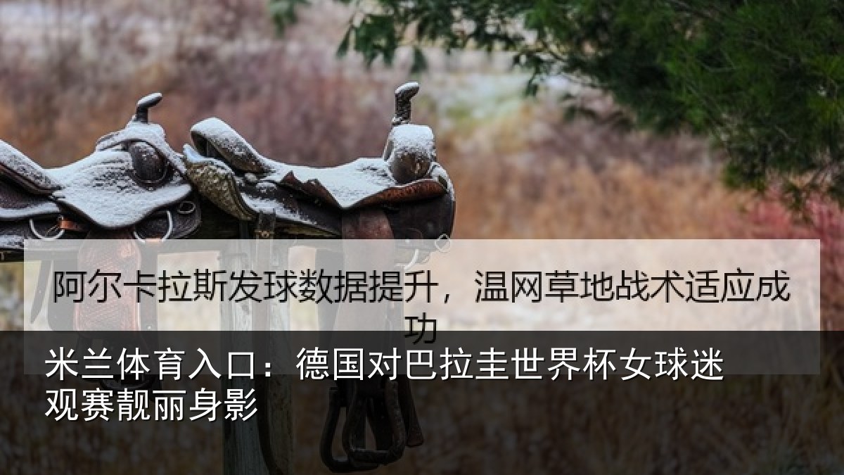 米兰体育入口：德国对巴拉圭世界杯女球迷观赛靓丽身影